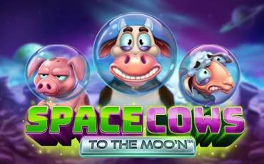 Space Cows to the Moo’n pokie NZ