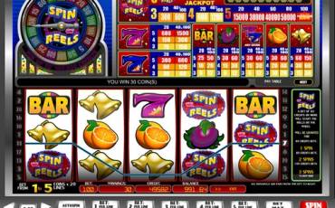 Spin or Reels pokie NZ