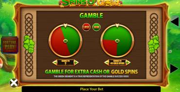 Spins O' Gold Fortune Play: Risk game