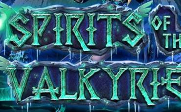 Spirits of the Valkyrie pokie NZ