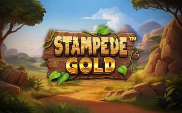 Stampede Gold pokie NZ