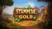 Play Stampede Gold pokie NZ