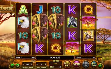 Stampede pokie NZ