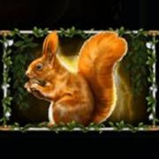 Story Of Gaia: Squirrel