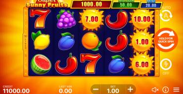 Super Sunny Fruits: Hold and Win: Slot machine