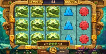 Temple of Nudges: Payoffs