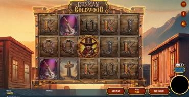 The Gunman of Goldwood: Interface