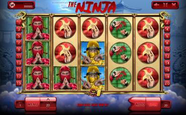 The Ninja pokie NZ