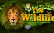 The Wildlife logo