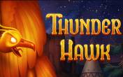 ThunderHawk  NZ (logo)