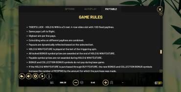 Tiger's Luck Hold&Win: Rules