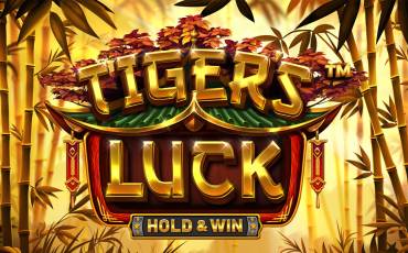 Tiger's Luck Hold&Win pokie NZ