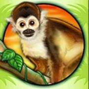 Totally Wild: Monkey