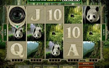 Untamed Giant Panda pokie NZ