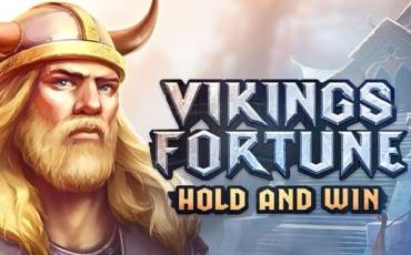 Viking Fortune: Hold and Win pokie NZ