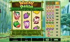 Play Wacky Panda