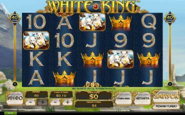 White King pokie NZ