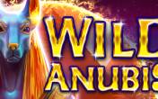 Wild Anubis logo