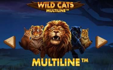 Wild Cats Multiline pokie NZ