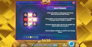 Wild Frames: Wild Frames