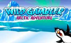 Play Wild Gambler – Arctic Adventure