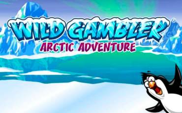 Wild Gambler – Arctic Adventure pokie NZ