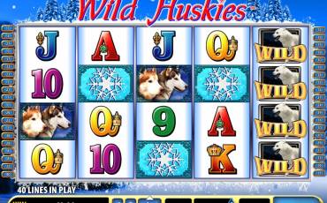 Wild Huskies pokie NZ