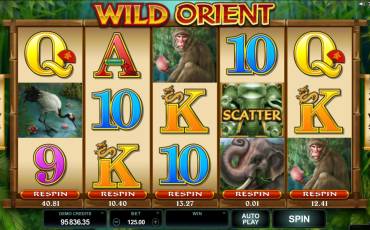 Wild Orient pokie NZ