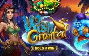 Wish Granted — Hold&Win  NZ (logo)