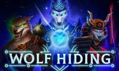 Play Wolf Hiding