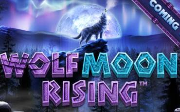 Wolf Moon Rising pokie NZ