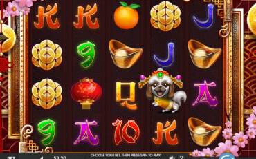 Year of the Dog pokie NZ