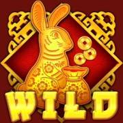 Year of the Rabbit: Wild